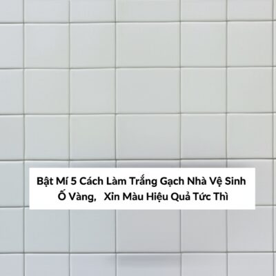 Bật Mí 5 Cách Làm Trắng Gạch Nhà Vệ Sinh Ố Vàng, Xỉn Màu Hiệu Quả Tức Thì