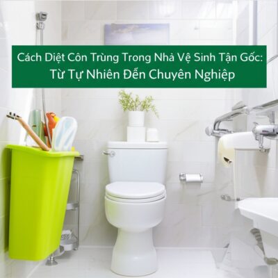 Cách Diệt Côn Trùng Trong Nhà Vệ Sinh Tận Gốc: Từ Tự Nhiên Đến Chuyên Nghiệp