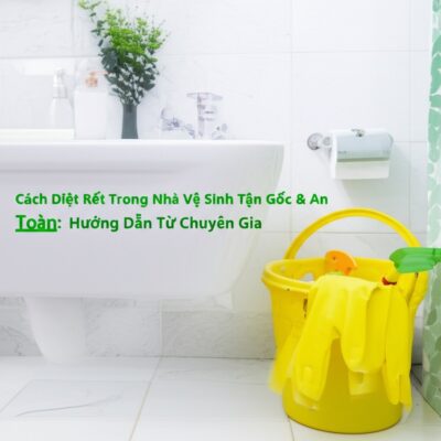 Cách Diệt Rết Trong Nhà Vệ Sinh Tận Gốc & An Toàn: Hướng Dẫn Từ Chuyên Gia
